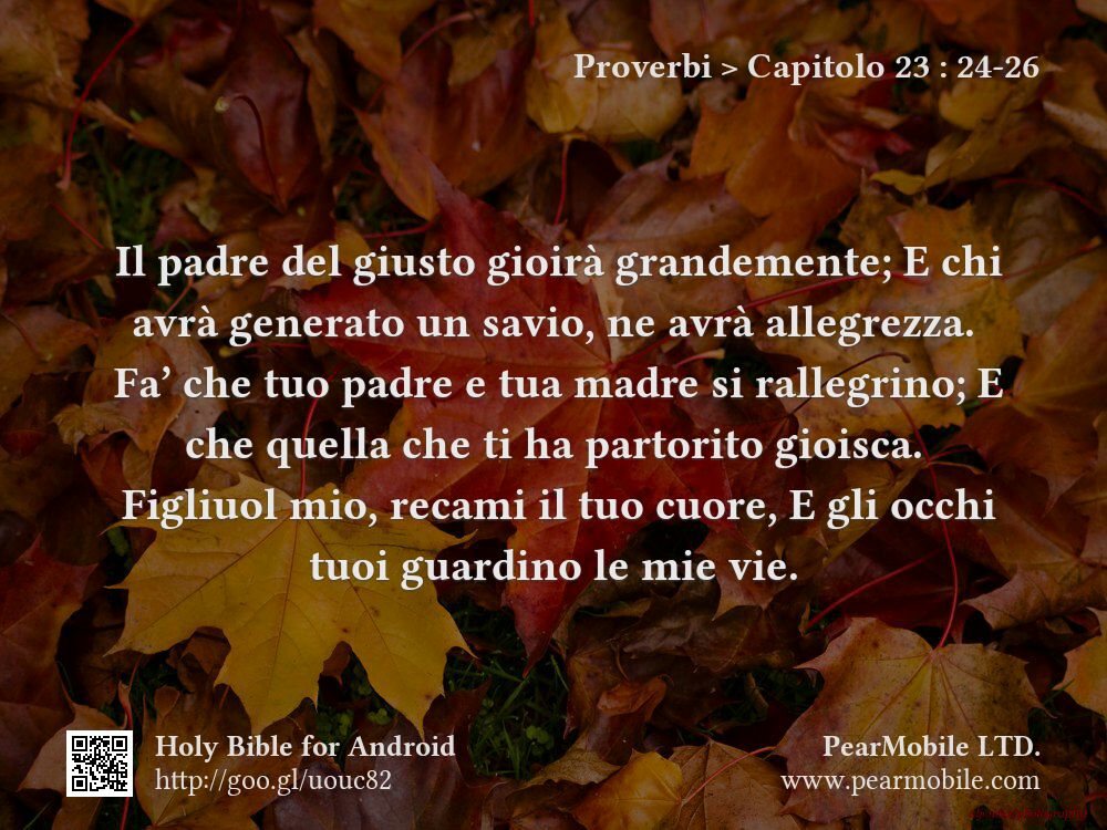 Proverbi, Capitolo 23:24-26